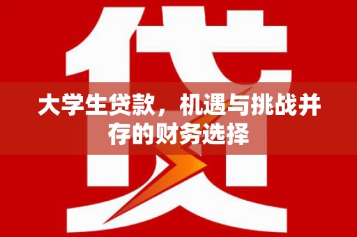 大里大学生贷款，机遇与挑战并存的财务选择