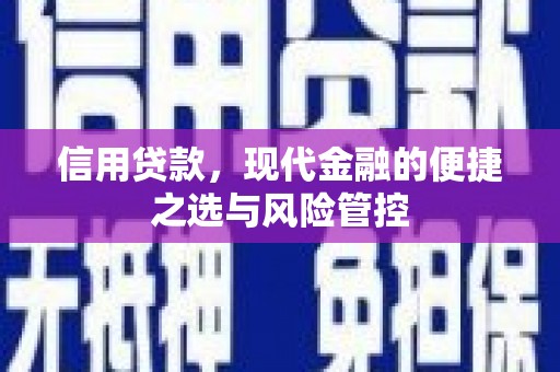 大里信用贷款，现代金融的便捷之选与风险管控
