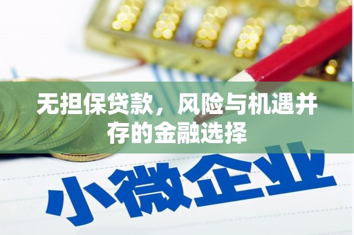 大里无担保贷款，风险与机遇并存的金融选择