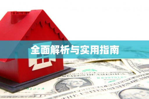 大里全面解析与实用指南