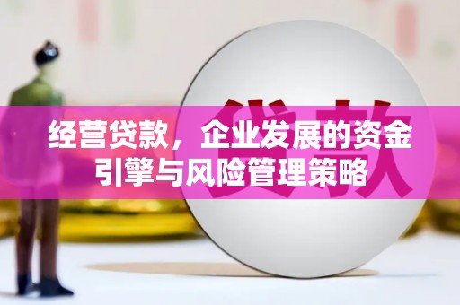 大里经营贷款，企业发展的资金引擎与风险管理策略