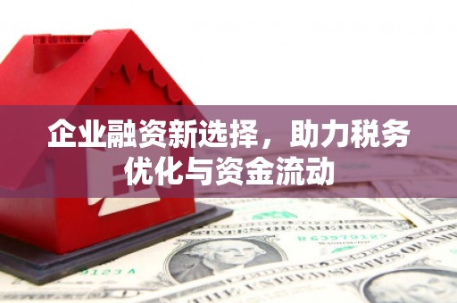 大里企业融资新选择，助力税务优化与资金流动