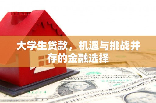 大里大学生贷款，机遇与挑战并存的金融选择