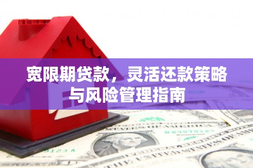 大里宽限期贷款，灵活还款策略与风险管理指南