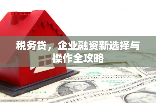 大里税务贷，企业融资新选择与操作全攻略