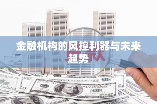 大里金融机构的风控利器与未来趋势