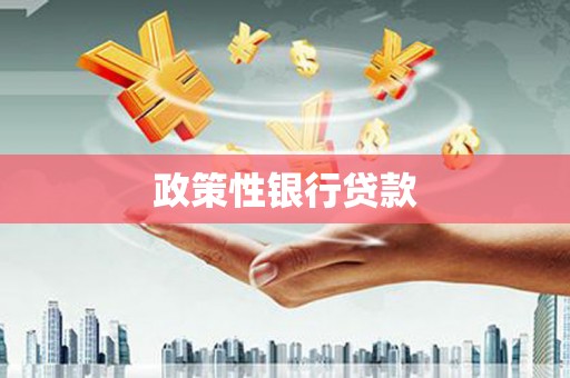 大里政策性银行贷款