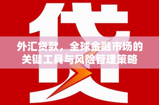 大里外汇贷款，全球金融市场的关键工具与风险管理策略