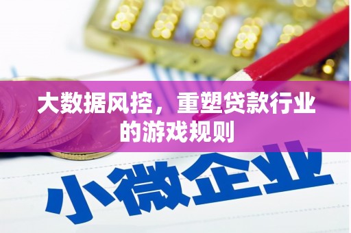 大里大数据风控，重塑贷款行业的游戏规则