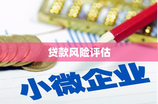 大里贷款风险评估