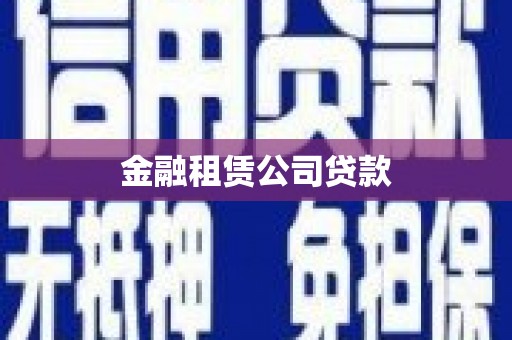 大里金融租赁公司贷款
