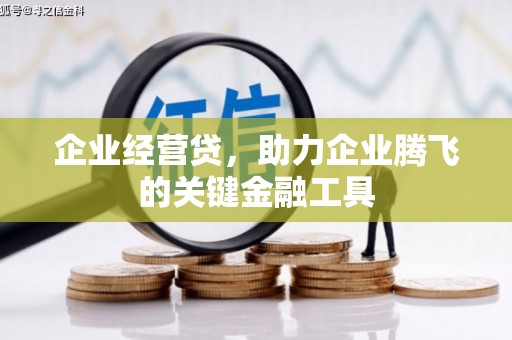 大里企业经营贷，助力企业腾飞的关键金融工具