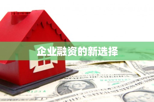 大里企业融资的新选择
