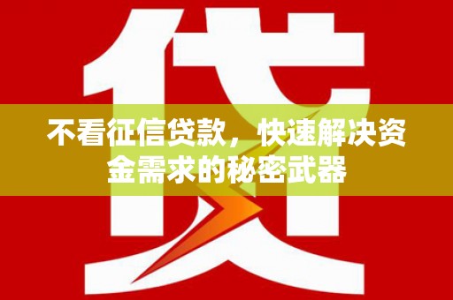 大里不看征信贷款，快速解决资金需求的秘密武器