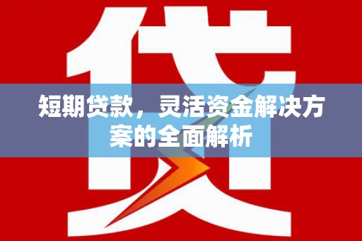 大里短期贷款，灵活资金解决方案的全面解析