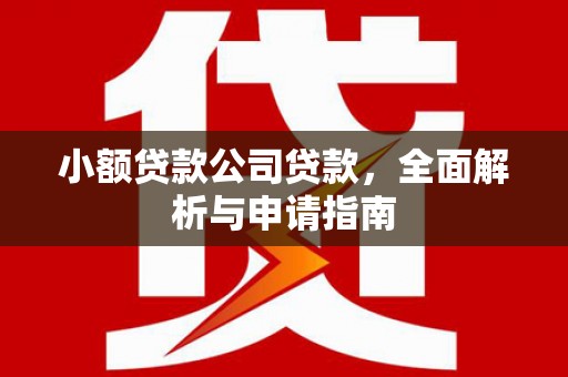 大里小额贷款公司贷款，全面解析与申请指南