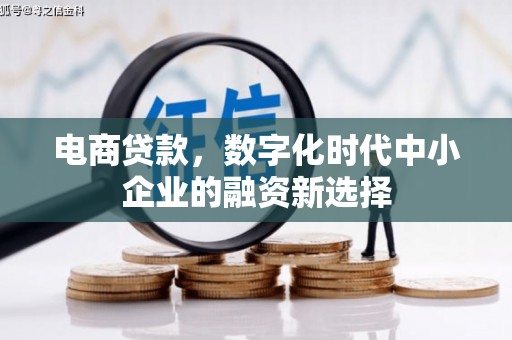 大里电商贷款，数字化时代中小企业的融资新选择