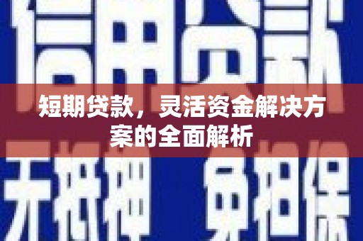 大里短期贷款，灵活资金解决方案的全面解析