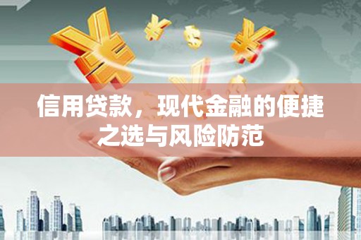 大里信用贷款，现代金融的便捷之选与风险防范
