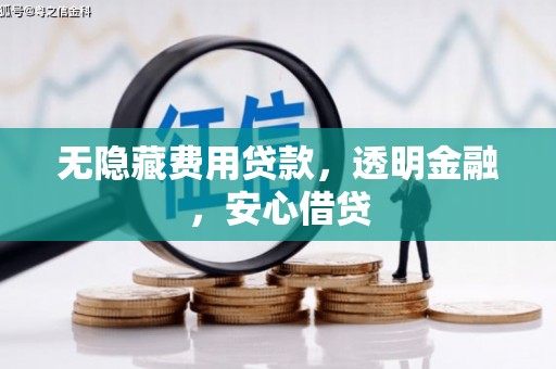 大里无隐藏费用贷款，透明金融，安心借贷