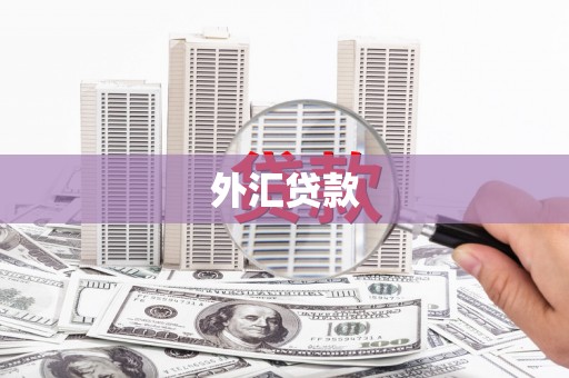 大里外汇贷款