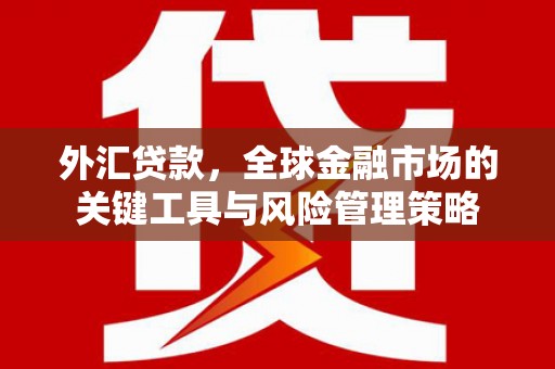 大里外汇贷款，全球金融市场的关键工具与风险管理策略