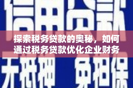 大里探索税务贷款的奥秘，如何通过税务贷款优化企业财务