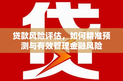 大里贷款风险评估，如何精准预测与有效管理金融风险