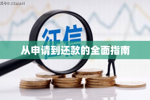 大里从申请到还款的全面指南