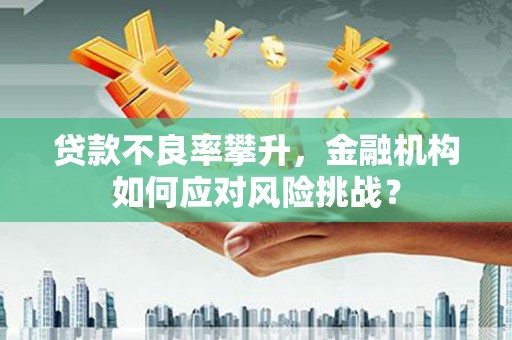 大里贷款不良率攀升，金融机构如何应对风险挑战？