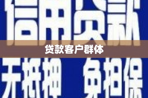 大里贷款客户群体