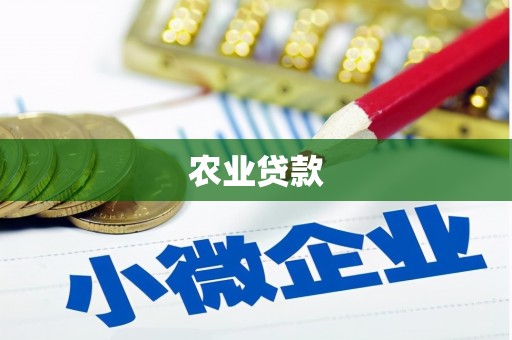 大里农业贷款