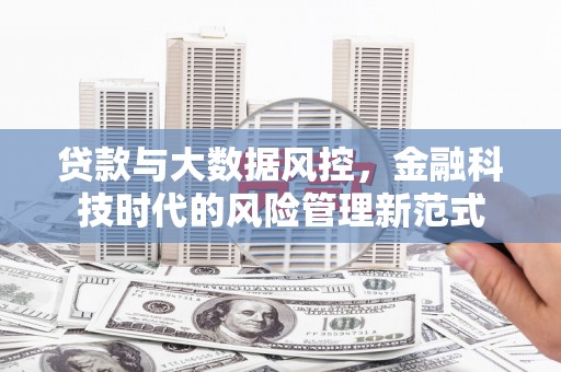大里贷款与大数据风控，金融科技时代的风险管理新范式
