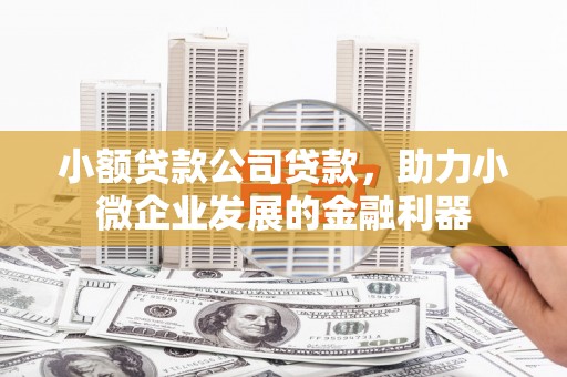 大里小额贷款公司贷款，助力小微企业发展的金融利器