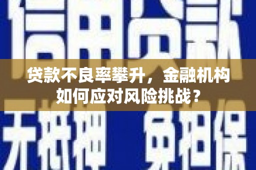 大里贷款不良率攀升，金融机构如何应对风险挑战？