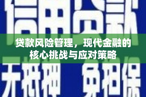 大里贷款风险管理，现代金融的核心挑战与应对策略