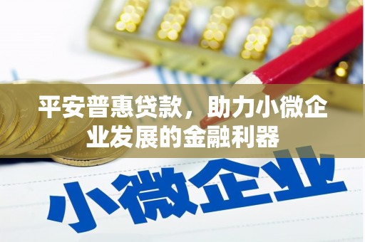大里平安普惠贷款，助力小微企业发展的金融利器