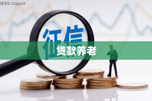 大里贷款养老