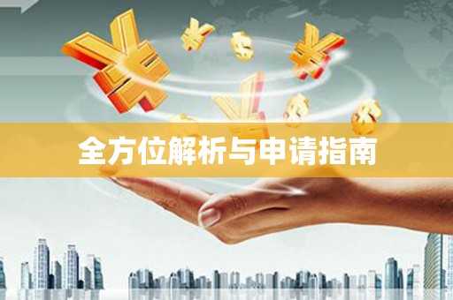 大里全方位解析与申请指南