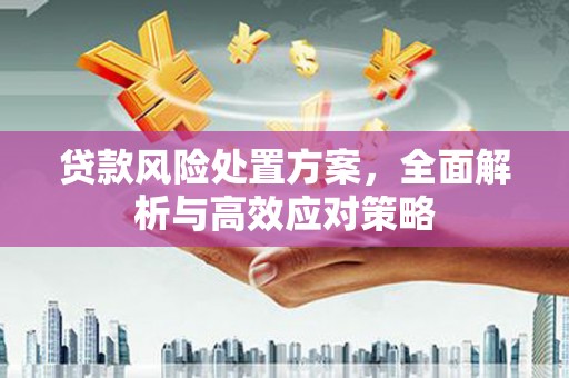 大里贷款风险处置方案，全面解析与高效应对策略