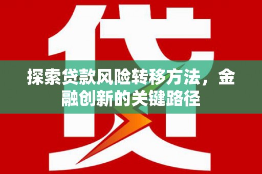 大里探索贷款风险转移方法，金融创新的关键路径