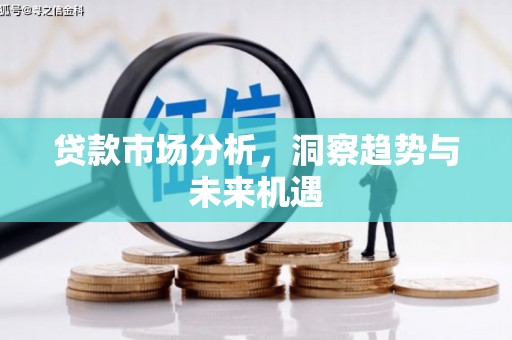 大里贷款市场分析，洞察趋势与未来机遇