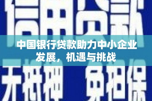 大里中国银行贷款助力中小企业发展，机遇与挑战