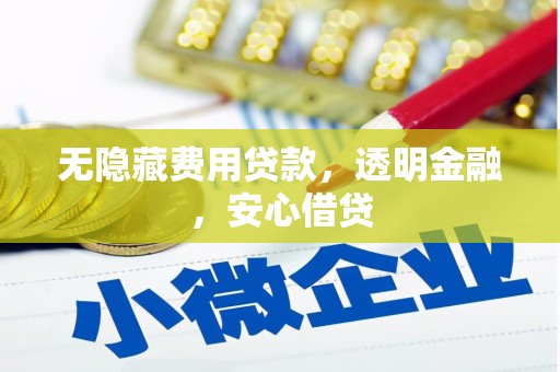 大里无隐藏费用贷款，透明金融，安心借贷