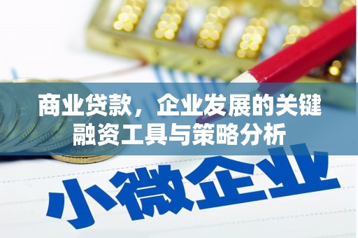 大里商业贷款，企业发展的关键融资工具与策略分析