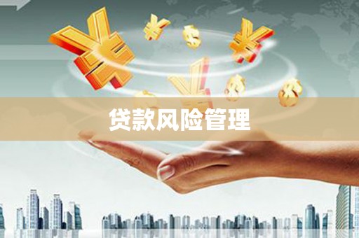 大里贷款风险管理