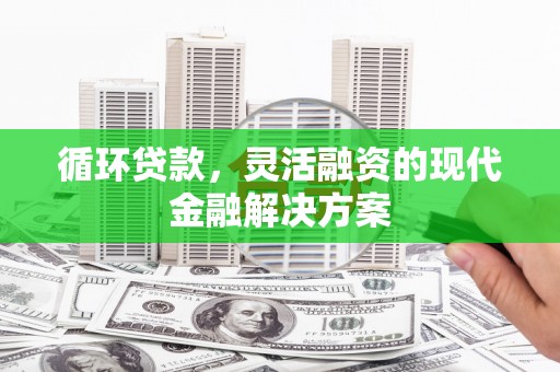 大里循环贷款，灵活融资的现代金融解决方案