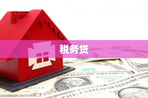 大里税务贷