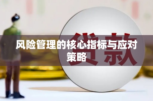大里风险管理的核心指标与应对策略