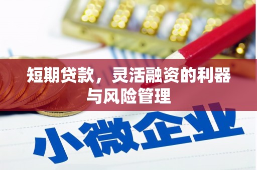 大里短期贷款，灵活融资的利器与风险管理